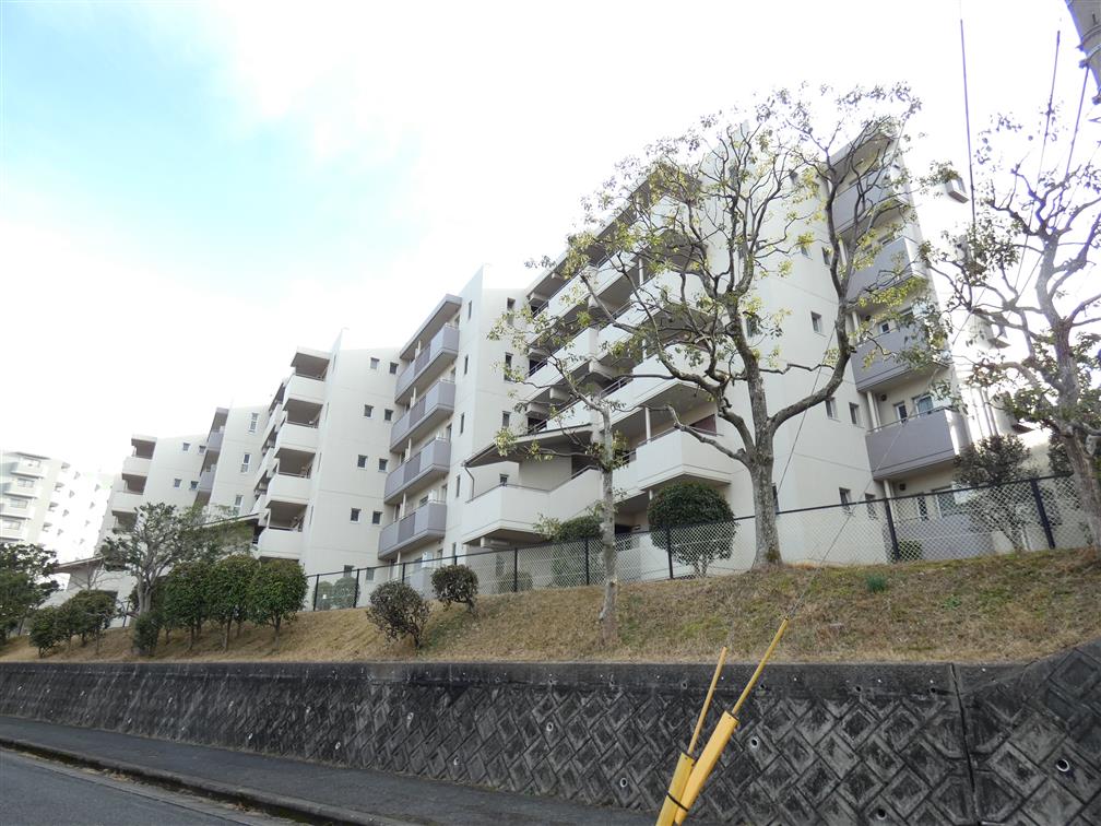 志井サンハイツ その他