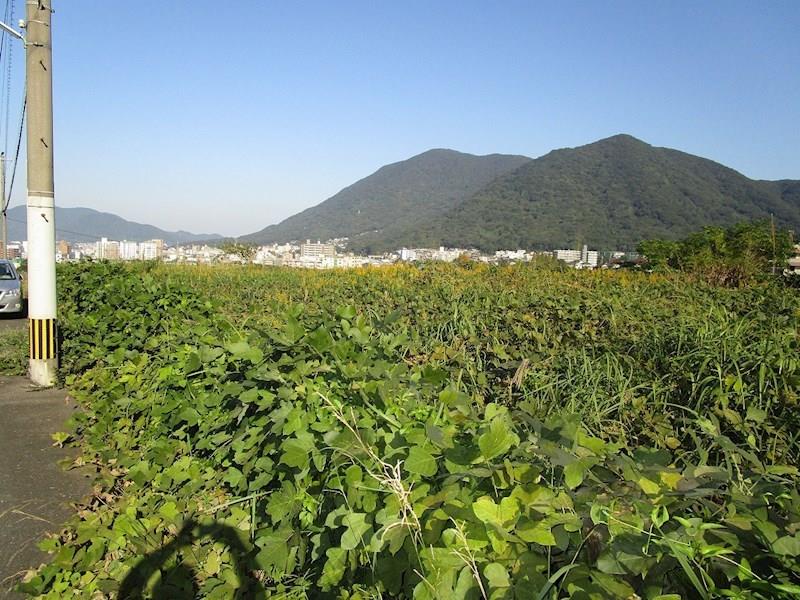 門司区青葉台1番街区　土地 その他